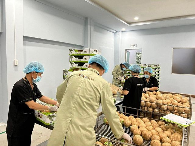 Fresh Coconut - Image 5